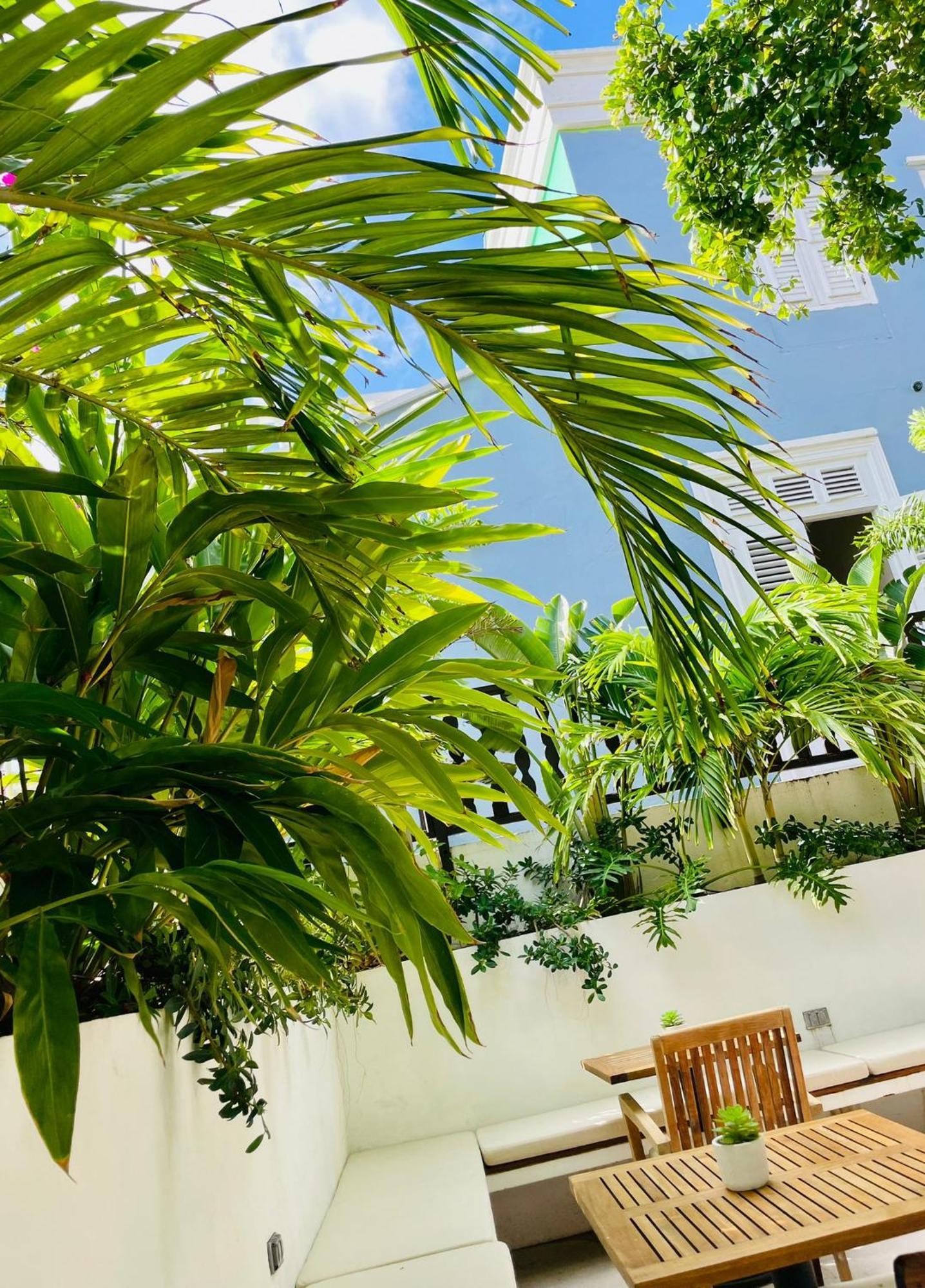 וילמסטאד Atelier Skalo Boutique Hotel מראה חיצוני תמונה